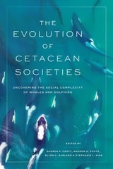 cover of The Evolution of Cetacean Societies: Uncovering the Social Complexity of Whales and Dolphins