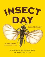 cover of Insect Day: A Story of 24 Hours and 24 Hexapod Lives