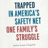cover of Trapped in America's Safety Net: One Family's Struggle