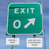 cover of Exit Zero: Family and Class in Postindustrial Chicago