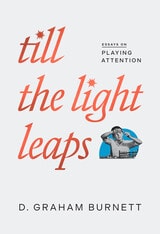 cover of Till the Light Leaps: Essays on Playing Attention