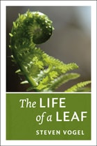 cover of The Life of a Leaf