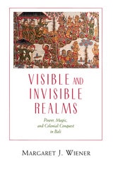 cover of Visible and Invisible Realms: Power, Magic, and Colonial Conquest in Bali