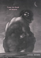 cover of From the Book of Giants