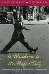 cover of A Wanderer in the Perfect City: Selected Passion Pieces