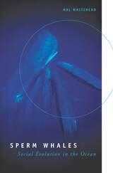 cover of Sperm Whales: Social Evolution in the Ocean