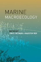 cover of Marine Macroecology