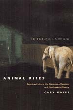 cover of Animal Rites: American Culture, the Discourse of Species, and Posthumanist Theory