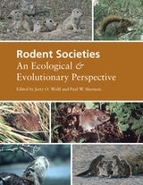 cover of Rodent Societies: An Ecological and Evolutionary Perspective