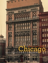 cover of Henry Ives Cobb's Chicago: Architecture, Institutions, and the Making of a Modern Metropolis