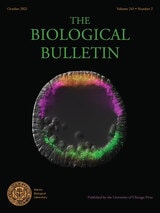 cover of The Biological Bulletin, volume 241 number 2 (October 2021)