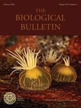 cover of The Biological Bulletin, volume 242 number 1 (February 2022)