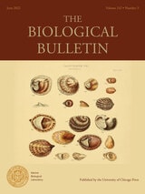 cover of The Biological Bulletin, volume 242 number 3 (June 2022)