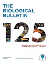 cover of The Biological Bulletin, volume 243 number 1 (August 2022)