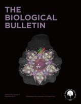 cover of The Biological Bulletin, volume 243 number 3 (December 2022)