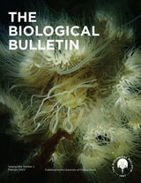 cover of The Biological Bulletin, volume 244 number 1 (February 2023)