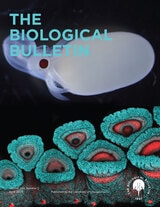 cover of The Biological Bulletin, volume 244 number 2 (April 2023)