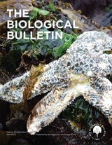 cover of The Biological Bulletin, volume 244 number 3 (June 2023)