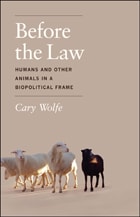 cover of Before the Law: Humans and Other Animals in a Biopolitical Frame