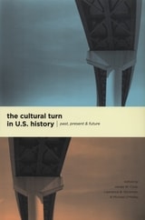 cover of The Cultural Turn in U. S. History: Past, Present, and Future