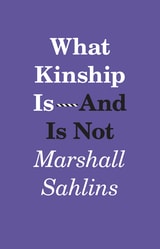 cover of What Kinship Is-And Is Not