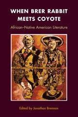 cover of When Brer Rabbit Meets Coyote: AFRICAN-NATIVE AMERICAN LITERATURE