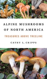 cover of Alpine Mushrooms of North America: Treasures above Treeline