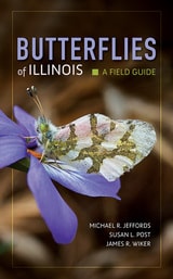 cover of Butterflies of Illinois: A Field Guide