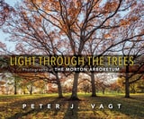 cover of Light Through the Trees: Photographs at The Morton Arboretum