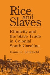 cover of Rice and Slaves: Ethnicity and the Slave Trade in Colonial South Carolina