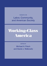 cover of Working-Class America: Essays on Labor, Community, and American Society