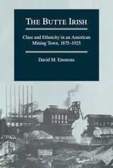 cover of The Butte Irish: Class and Ethnicity in an American Mining Town, 1875-1925