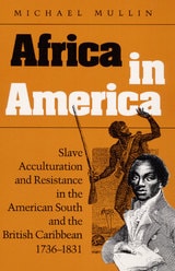 cover of Africa in America: Slave Acculturation and Resistance in the American South and the British Caribbean, 1736-1831