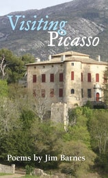 cover of Visiting Picasso
