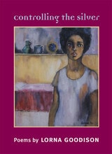cover of Controlling the Silver