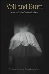 cover of Veil and Burn