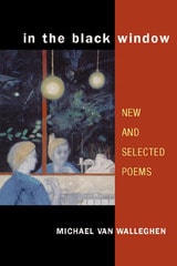 cover of In the Black Window: NEW AND SELECTED POEMS