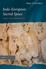 cover of Indo-European Sacred Space: Vedic and Roman Cult