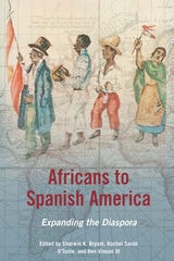 cover of Africans to Spanish America: Expanding the Diaspora