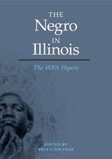 cover of The Negro in Illinois: The WPA Papers