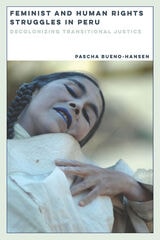 cover of Feminist and Human Rights Struggles in Peru: Decolonizing Transitional Justice