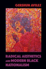 cover of Radical Aesthetics and Modern Black Nationalism