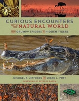 cover of Curious Encounters with the Natural World: From Grumpy Spiders to Hidden Tigers