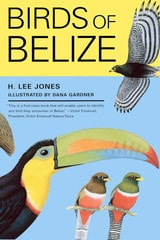 cover of Birds of Belize
