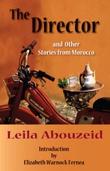 cover of The Director and Other Stories from Morocco
