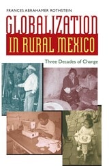cover of Globalization in Rural Mexico: Three Decades of Change