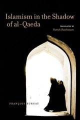 cover of Islamism in the Shadow of al-Qaeda