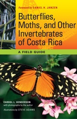 cover of Butterflies, Moths, and Other Invertebrates of Costa Rica: A Field Guide