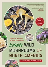 cover of Edible Wild Mushrooms of North America: A Field-to-kitchen Guide
