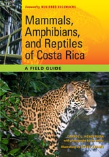 cover of Mammals, Amphibians, and Reptiles of Costa Rica: A Field Guide